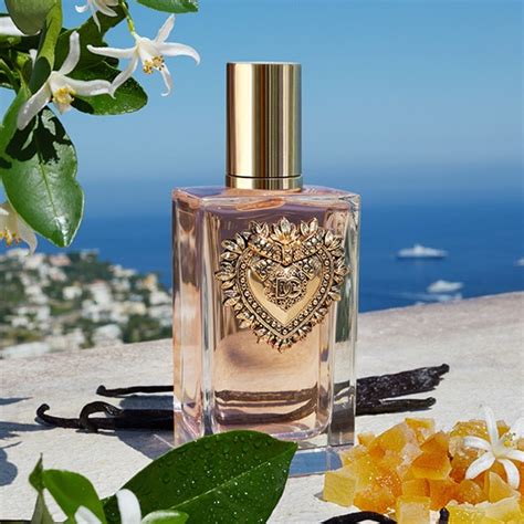 dolce gabbana devotion parfum|dolce gabbana devotion douglas.